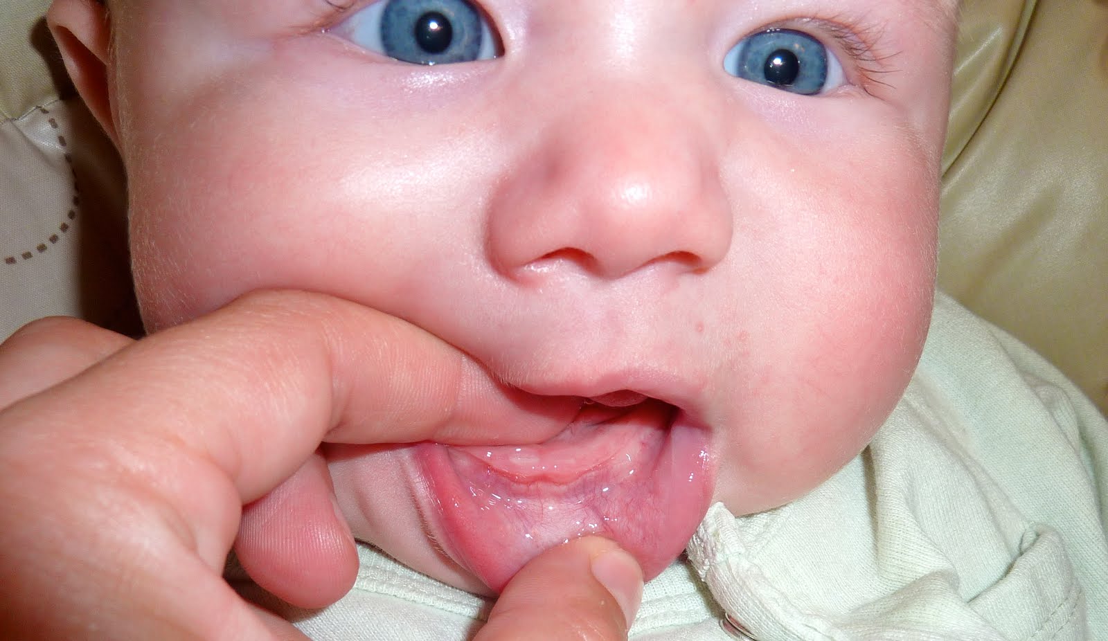 Gengive del bebè. A che età hai bisogna incominciare a prendersi cura dell’igiene orale del neonato?